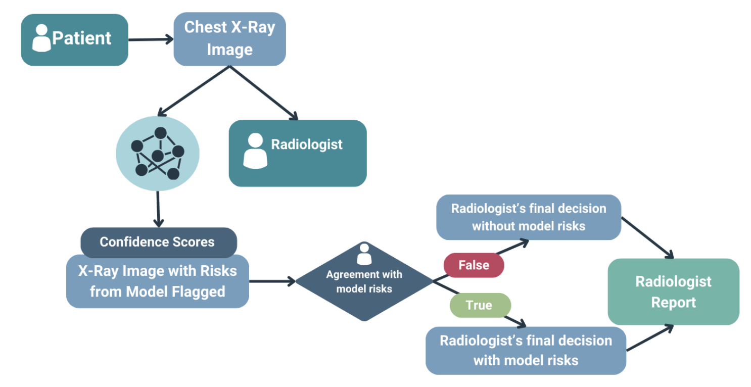 Chest X-Ray Abnormality Detector workflow diagram