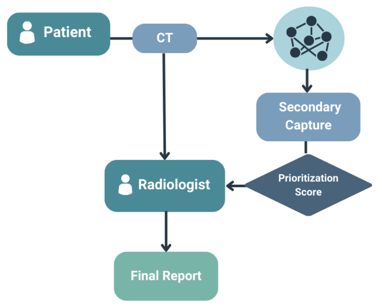 CT Scan Risk Detector workflow diagram